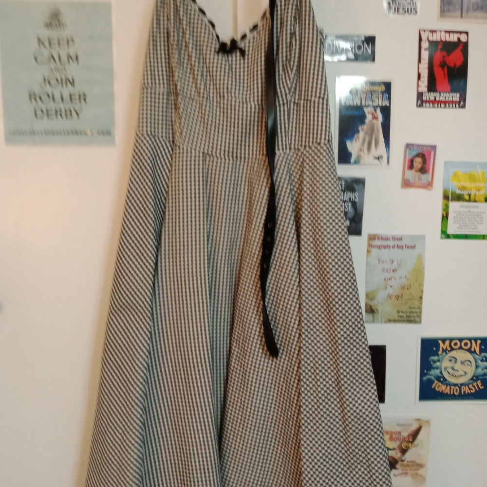 3X Black Gingham Unique Vintage dress